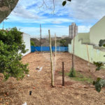Oportunidade Única no Jardim Cardinalli – Terreno em Localização Privilegiada.