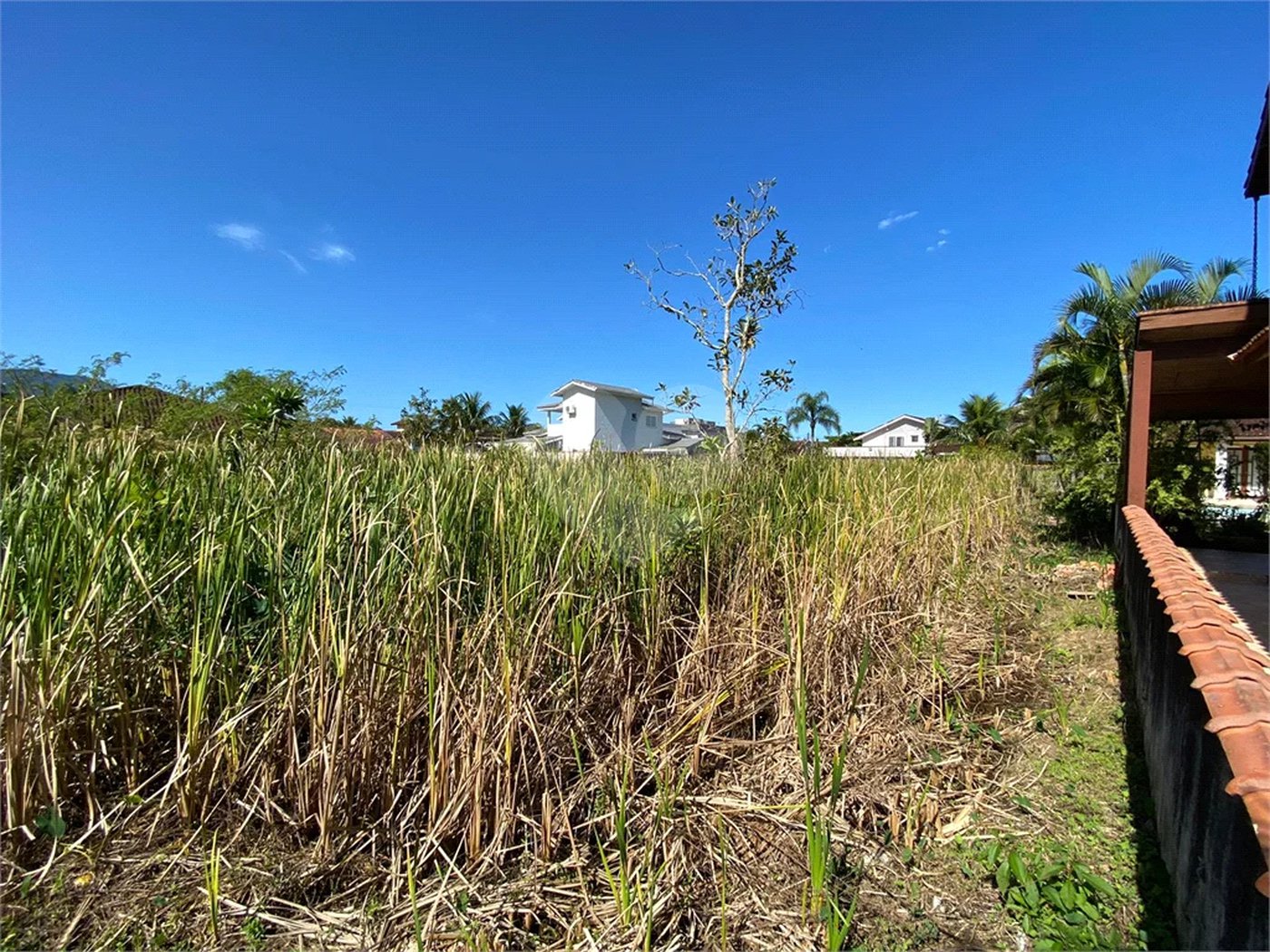 Terreno à venda em Morada da Praia, Bertioga, SP