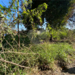 Terreno à venda em Campo Lindo, Seropédica, RJ