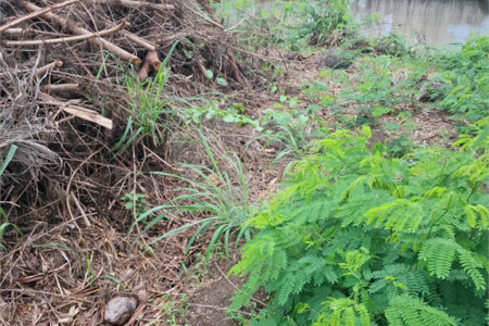 Terreno à venda em Campo Grande, Rio de Janeiro, RJ