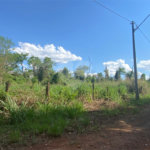 Área de Terra à venda no Centro Empresarial e Industrial Omar Maksoud, Araraquara, SP