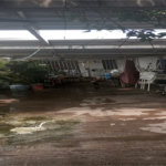 Casa à venda com 3 quartos, sendo 1 suíte,  em Lapa de Baixo, São Paulo, SP