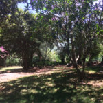 Terreno à venda com 1 suíte no condomínio São Joaquim, Vinhedo - SP