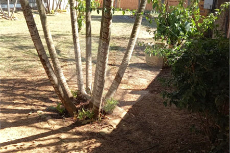 Chácara à venda com 3 quartos, sendo 1 suíte,  em Loteamento Aracê de Santo Antonio I, São Carlos, SP