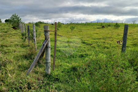Terreno à venda em Área Rural de Guareí, Guareí, SP