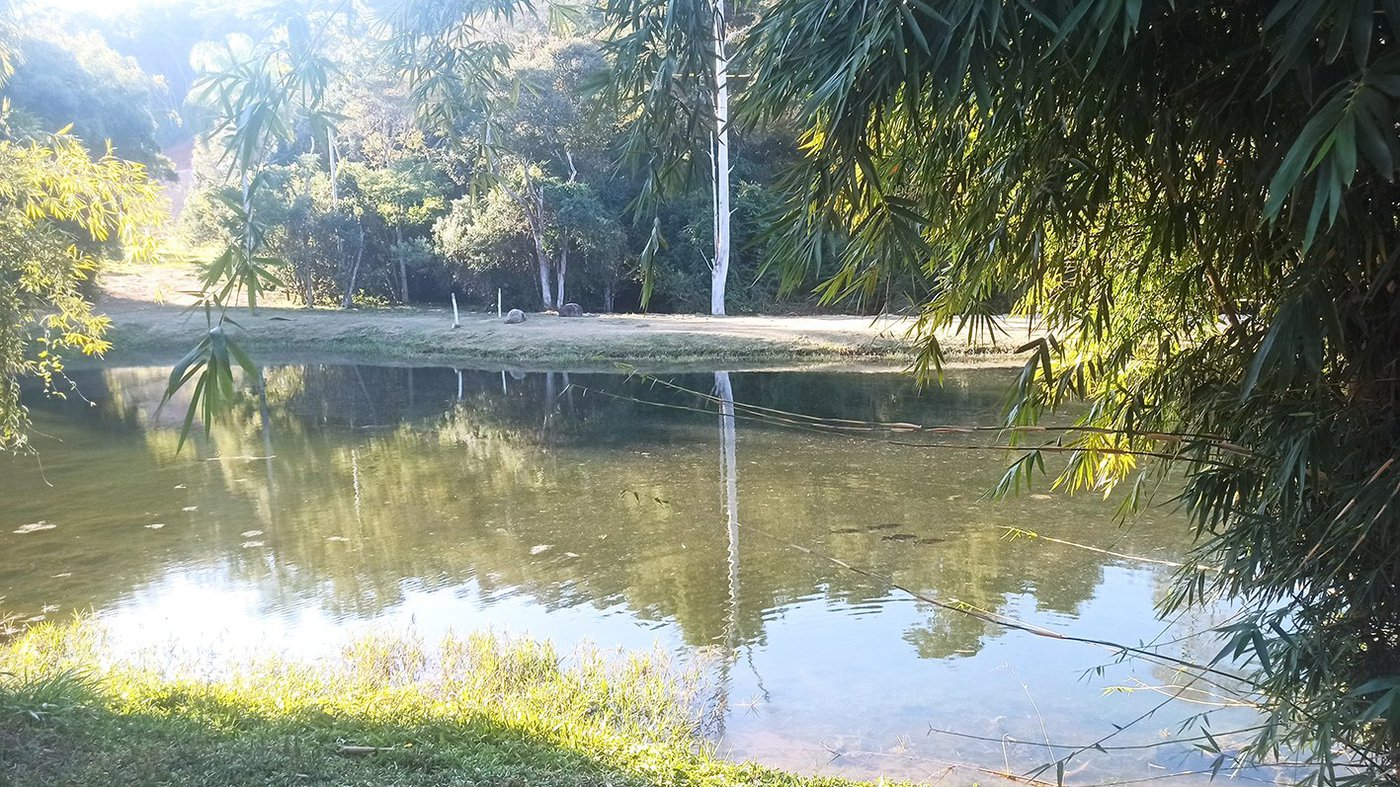 Fazenda Elisa - Fase 3