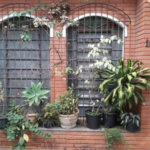 Casa à venda com 3 quartos, sendo 1 suíte, em Rio Pequeno, São Paulo, SP