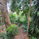 Loteamento à venda em Jardim Amália, São Paulo, SP