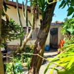 Casa Térrea à venda com 4 quartos em Mandaqui, São Paulo, SP