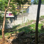 Terreno à venda em Tremembé, São Paulo, SP