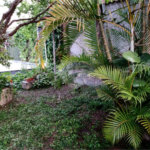 Sobrado à venda com 3 quartos, sendo 1 suíte, em Vila Nova Mazzei, São Paulo, SP