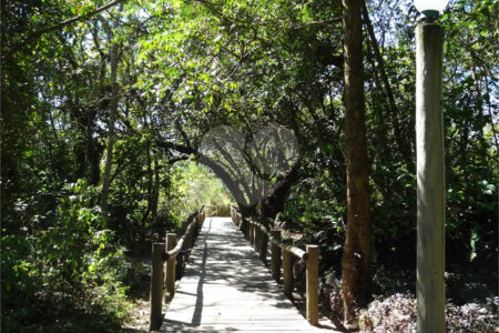 Terreno à venda em Guarapiranga, São Paulo, SP