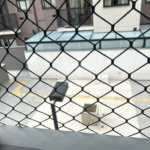 Apartamento para alugar com 2 quartos em Horto, São Paulo, SP