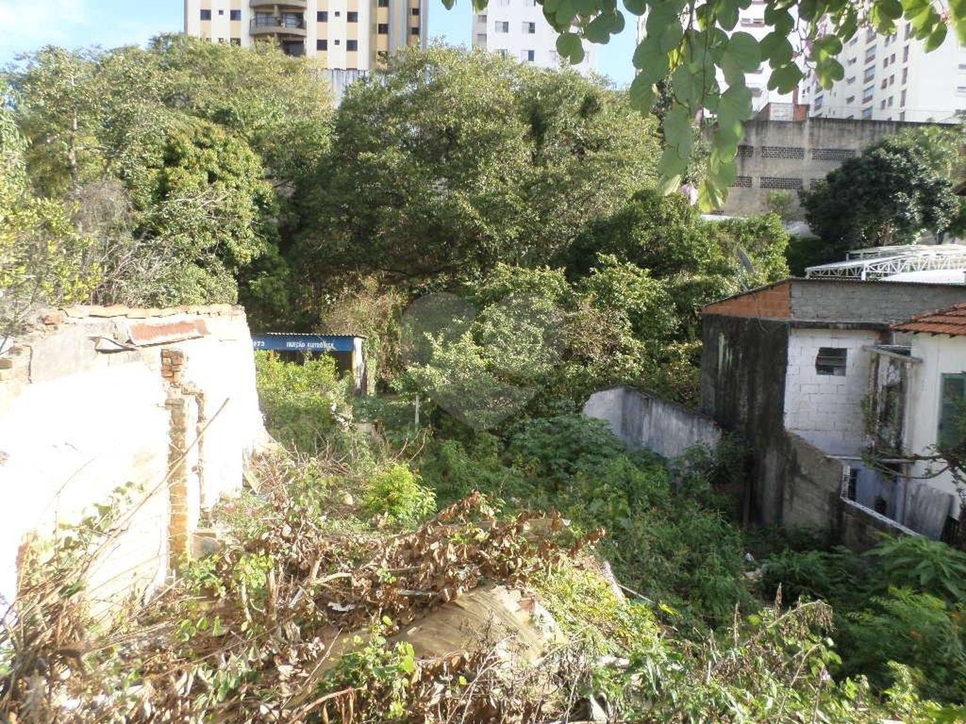 Terreno à venda ou para alugar em Água Fria, São Paulo, SP