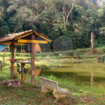 Chácara à venda com 5 quartos em Rio Acima, Mairiporã, SP
