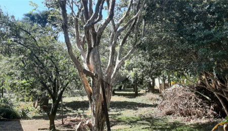 Terreno à venda em Vila Guido, Itu, SP