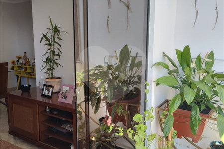 Apartamento à venda com 3 quartos, sendo 1 suíte, em Jardim Lincoln, Suzano, SP