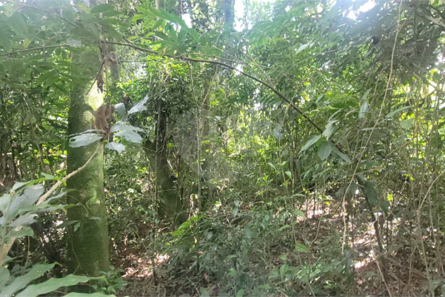Terreno à venda em Mantiqueira, Mairiporã, SP