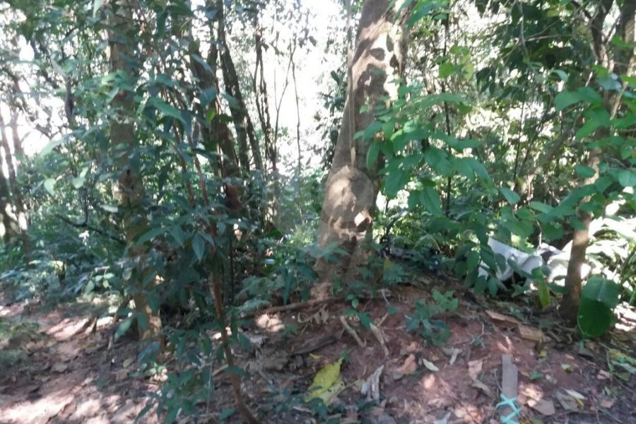 Terreno à venda em Tremembé, São Paulo, SP