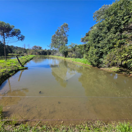 Sitio Granjeiro região de Água Vermelha 6,5 Alqueires (16,5 Hectares)