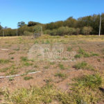 Terreno com 286,00 m² de área total.