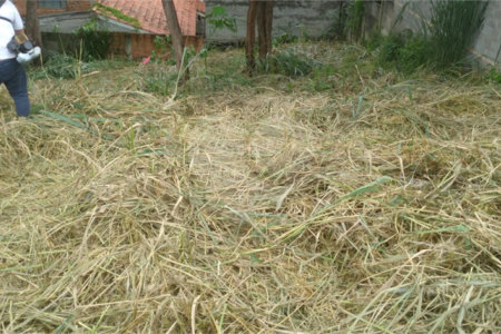 Terreno à venda em Jardim do Trevo, Atibaia, SP