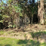Loteamento à venda em Serra da Cantareira, São Paulo, SP