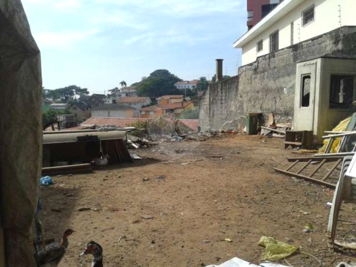 Terreno à venda em Jardim Colombo, São Paulo, SP