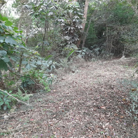 Terreno à venda em Chácaras Fernão Dias, Atibaia, SP
