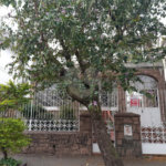Sobrado à venda ou para alugar com 4 quartos em Santana, São Paulo, SP