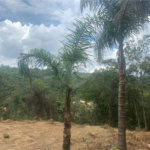 Terreno à venda em Serra da Cantareira, Mairiporã, SP