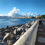Apartamento Residencial à venda, Ponta da Praia, Santos - AP1192.