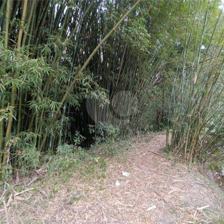 Terreno à venda em Vila Junqueira, São Roque, SP