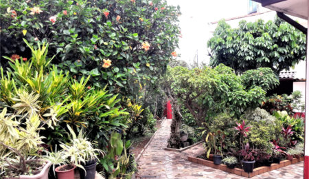 Terreno à venda com 2 quartos em Tremembé, São Paulo, SP
