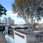Casa Térrea à venda com 3 quartos em Vila Nova Cachoeirinha, São Paulo, SP