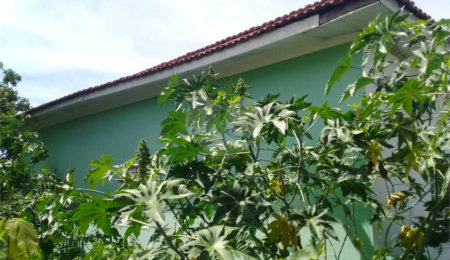 Terreno à venda em Tucuruvi, São Paulo, SP