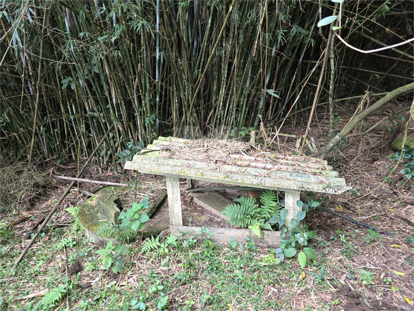 Sítio à venda com 6 quartos, sendo 5 suítes, em Área Rural de Itapetininga, Itapetininga, SP
