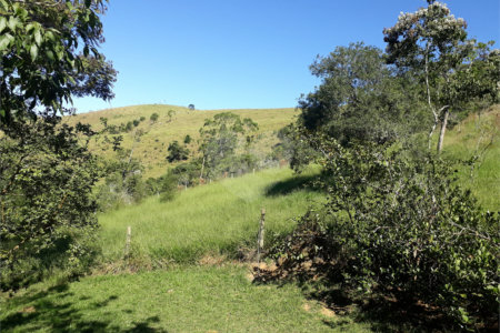Sítio à venda com 9 quartos, sendo 7 suítes, no Centro, Monteiro Lobato, SP