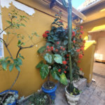 Sobrado à venda com 3 quartos, sendo 1 suíte, em Vila Leopoldina, São Paulo, SP