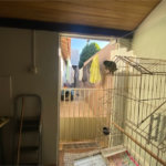 Casa térrea de 3 dormitórios