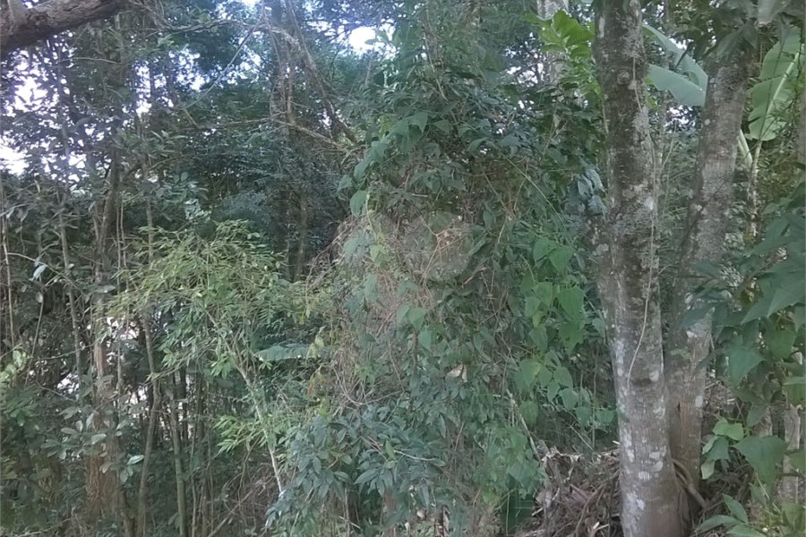 Terreno à venda em Serra da Cantareira, Mairiporã, SP