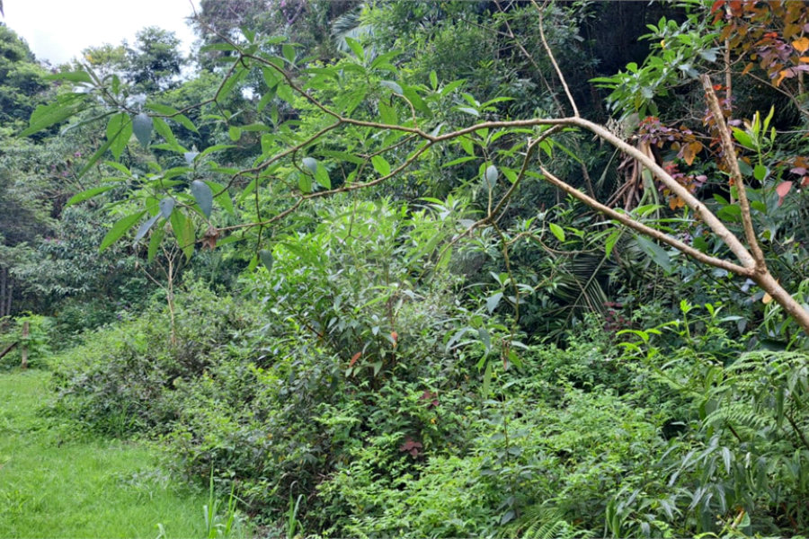 Terreno à venda no condomínio Campos de Mairiporã Gleba 1, Mairiporã - SP