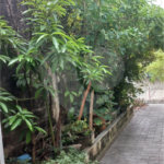 Casa à venda com 3 quartos, sendo 1 suíte, em Pirituba, São Paulo, SP