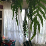 Apartamento para alugar com 3 quartos, sendo 1 suíte, em Pinheiros, São Paulo, SP