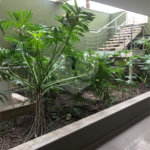 Apartamento à venda com 3 suítes no Centro, Santo André, SP