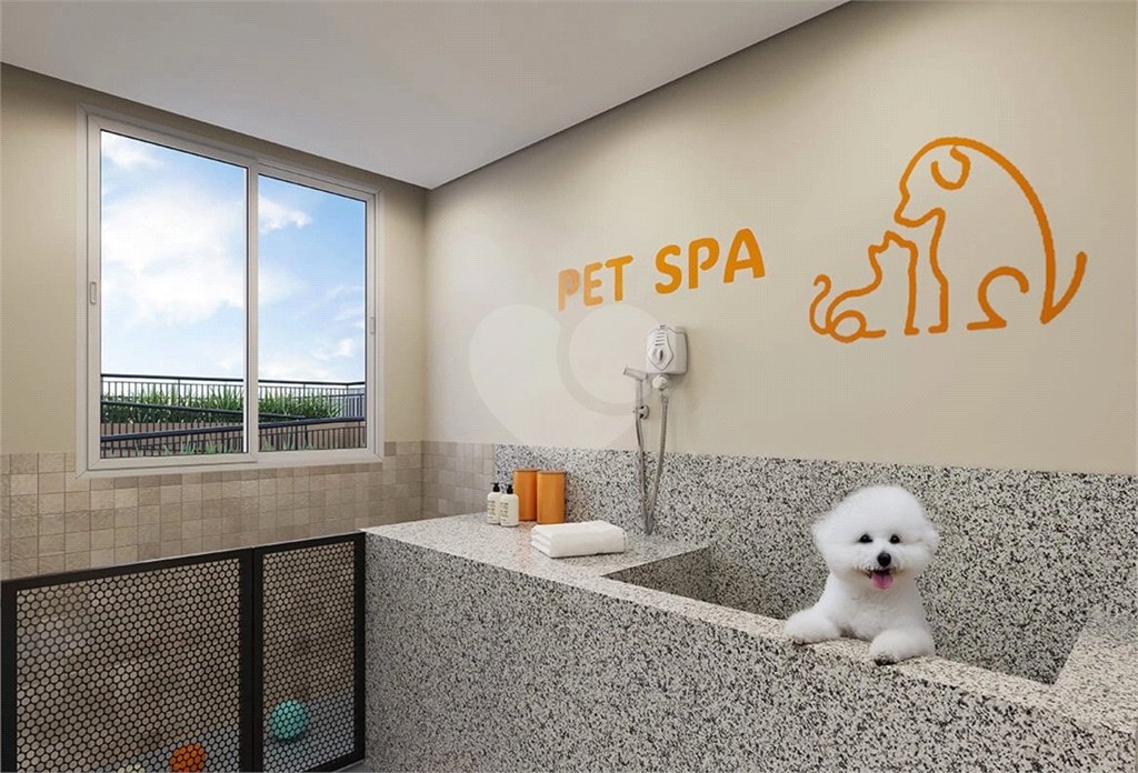 Apartamento à venda com 3 quartos, sendo 1 suíte, em Vila Pompéia, São Paulo, SP