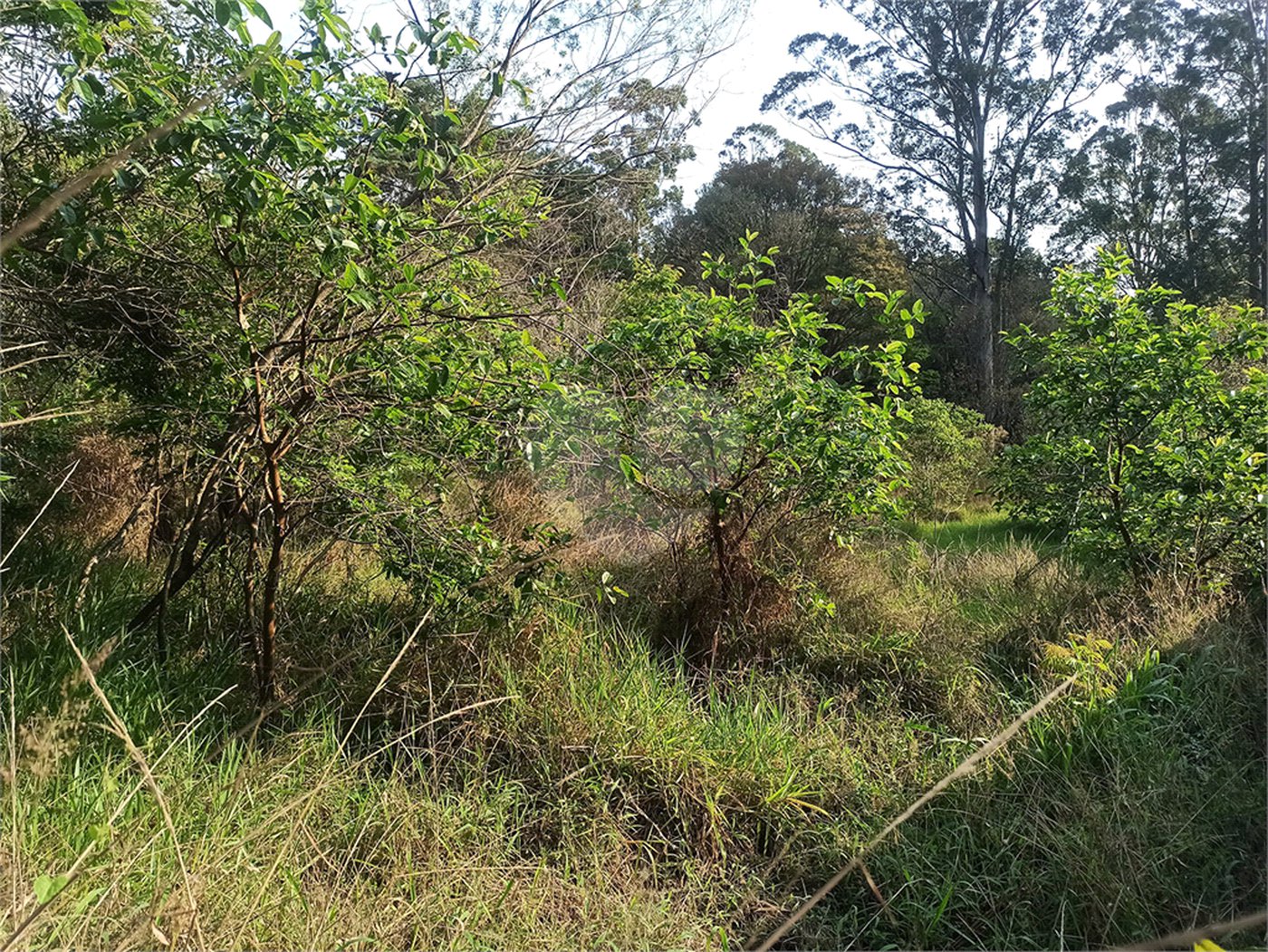 Terreno à venda em Bosque dos Eucalíptos, Atibaia, SP