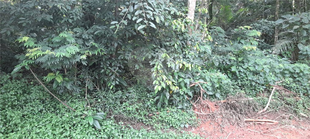 Terreno à venda em Roseira, Mairiporã, SP