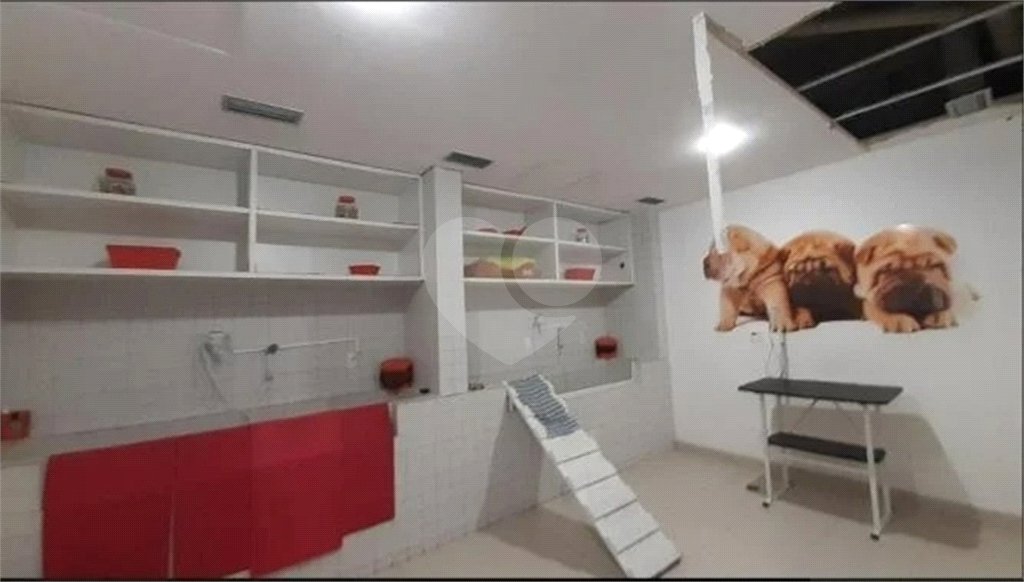 Apartamento à venda com 3 quartos, sendo 1 suíte, em Lauzane Paulista, São Paulo, SP