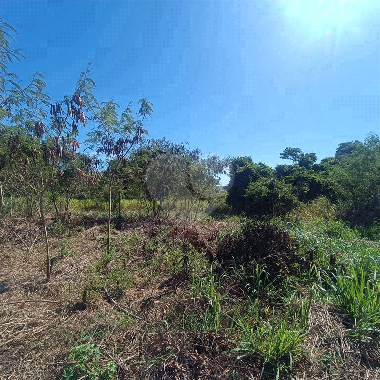 Terreno à venda em Praia Rasa, Armação dos Búzios, RJ